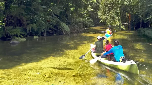 Canoagem no Rio Jaguareguava - 18/05/2025