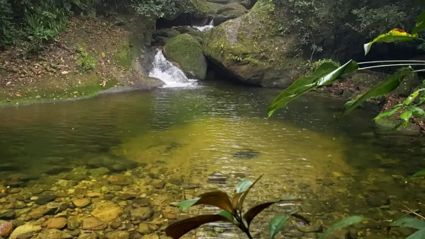 Cachoeira da Trilha D'água - 18/05/2025 - Image 4